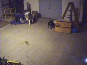 Picture provided by B7C 10/19/2022